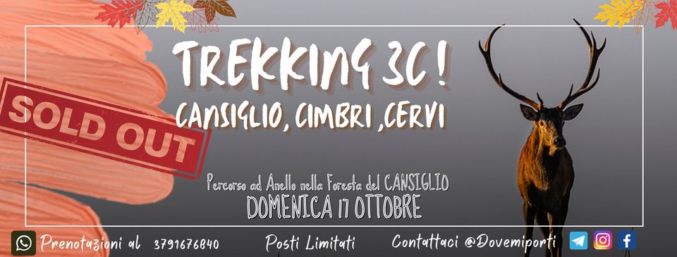 Trekking 3C - Cansiglio Cimbri Cervi